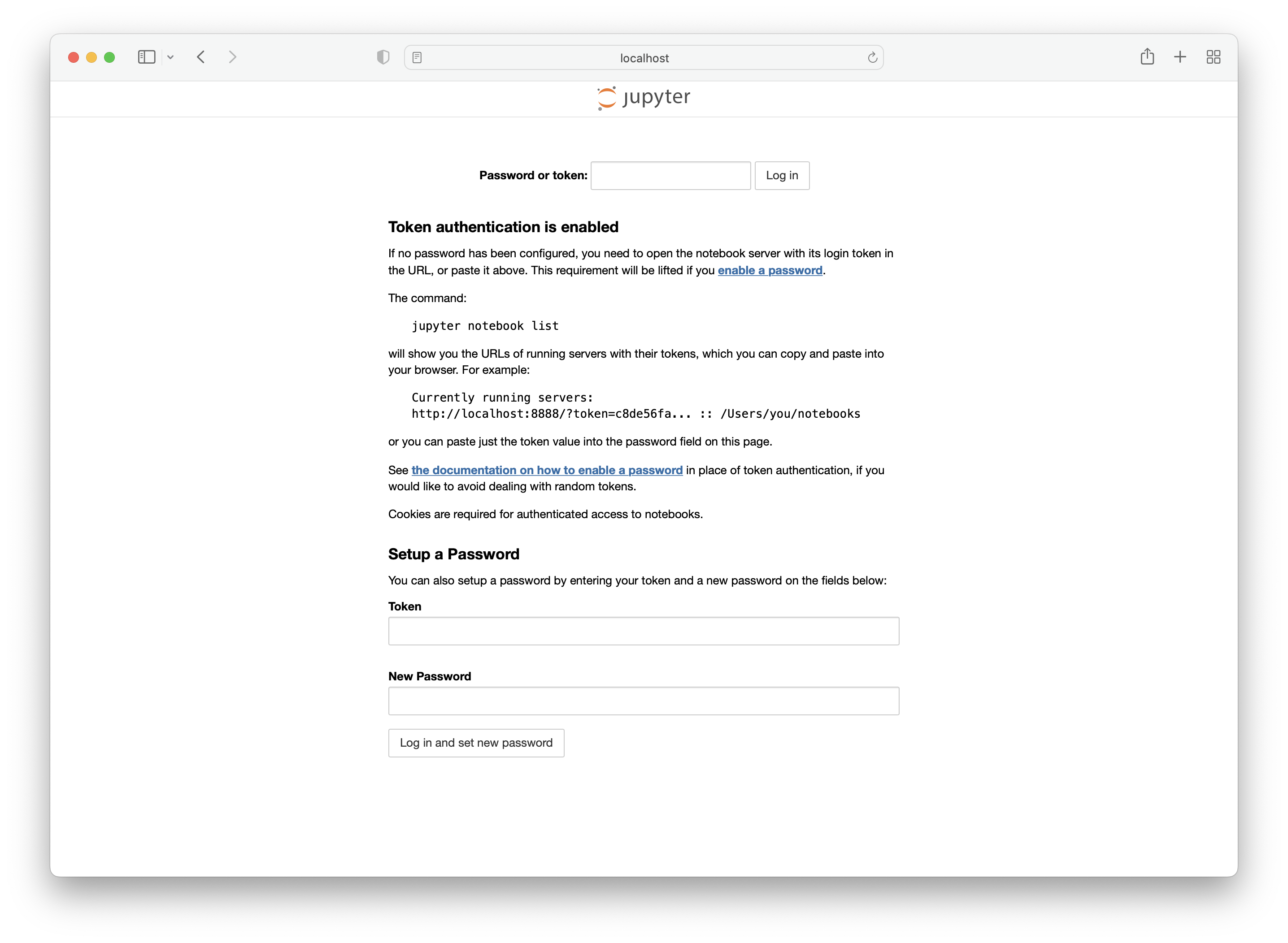 Jupyter authentication window