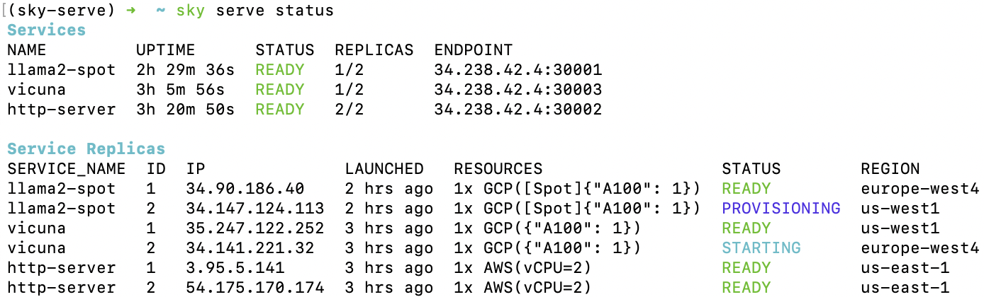 sky-serve-status-full